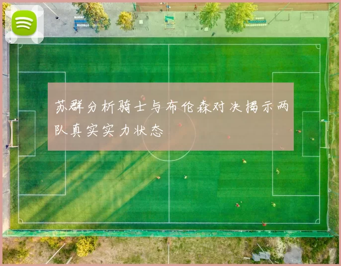 苏群分析骑士与布伦森对决揭示两队真实实力状态